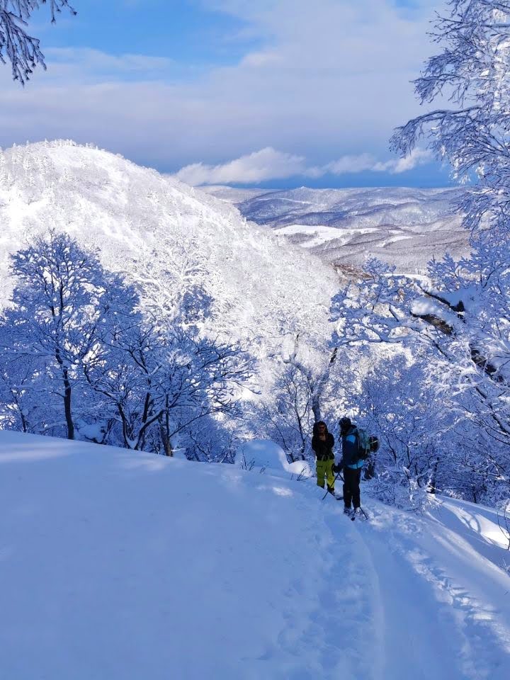 Kiroro’s Powder: Amazing Shreds and Upscale Après-Ski in Japan