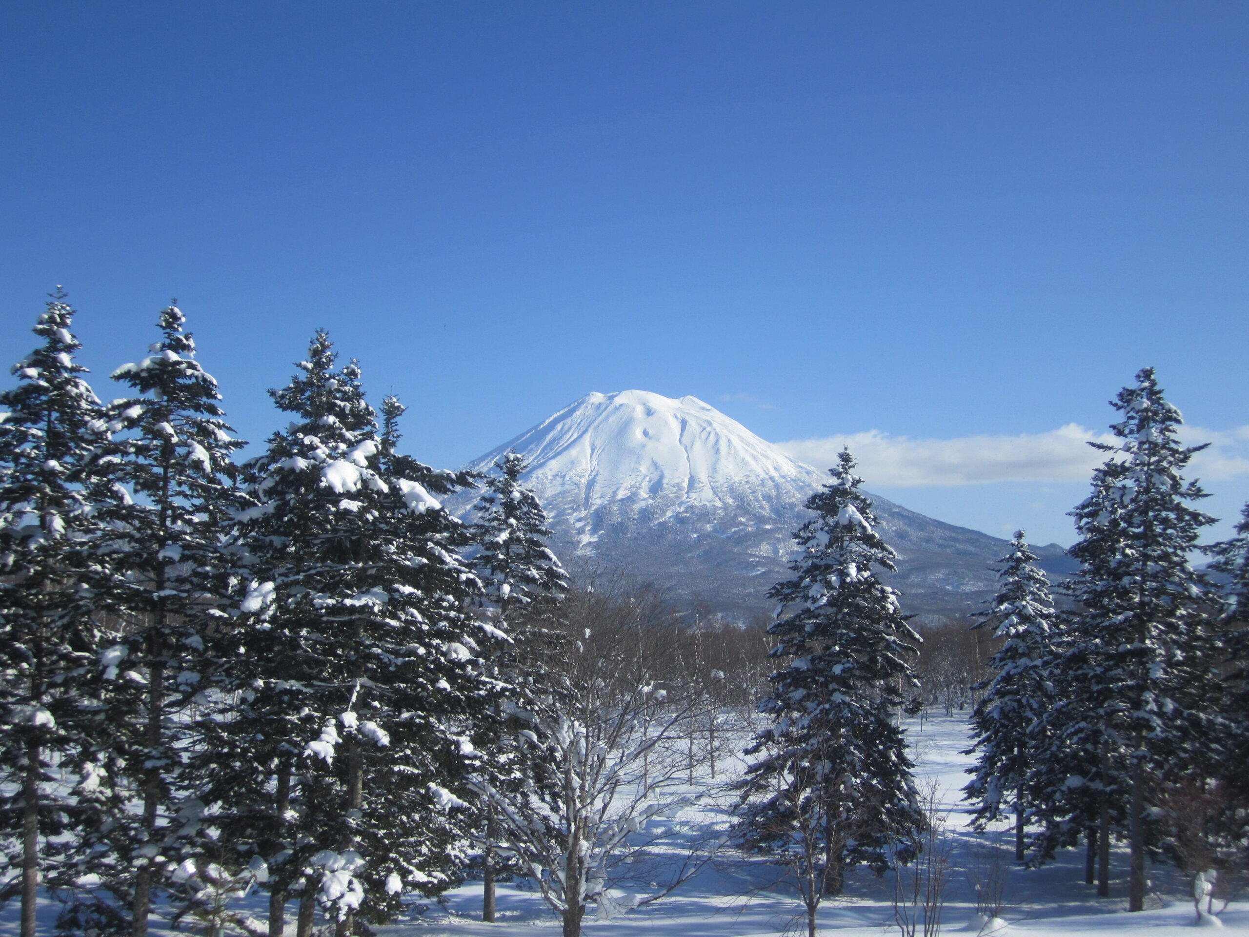 Where Does it Snow Most in Hokkaido? The Most Reliable
